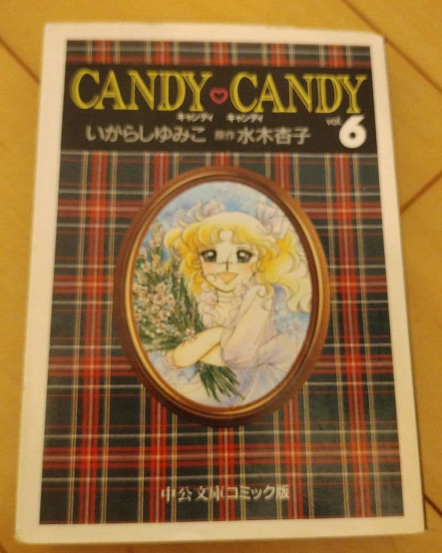 キャンディ♡キャンディ 文庫本 全巻セット