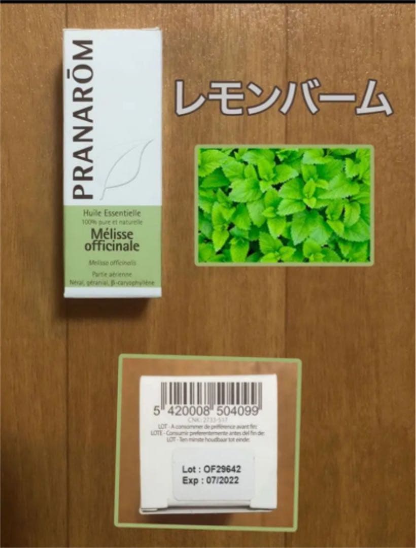 【新品】プラナロム レモンバーム (Mélisse officinal)