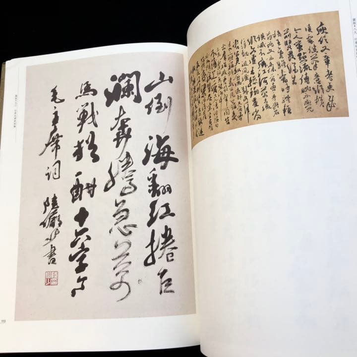 【中国書道】「陸儼少 - 海派代表書法家系列作品集」上海書画出版社