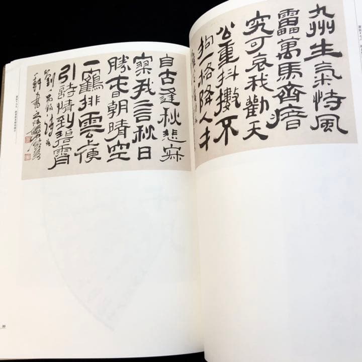 【中国書道】「陸儼少 - 海派代表書法家系列作品集」上海書画出版社