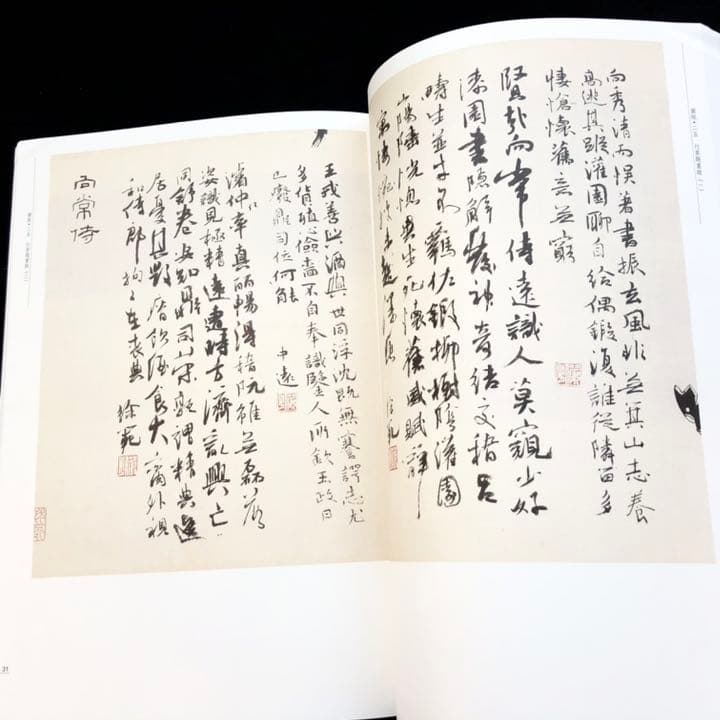 【中国書道】「陸儼少 - 海派代表書法家系列作品集」上海書画出版社