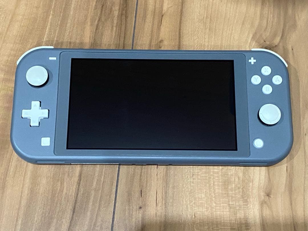 Nintendo Switch Lite グレー 専用ケース付き ジャンク品