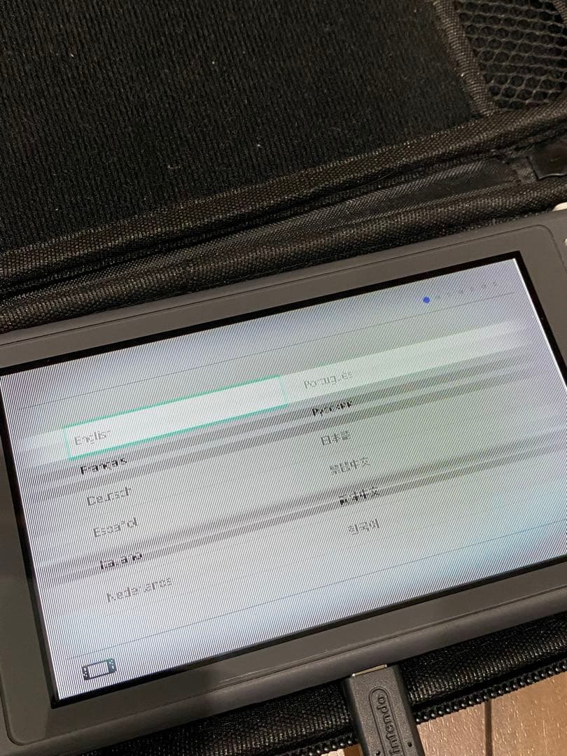 Nintendo Switch Lite グレー 専用ケース付き ジャンク品