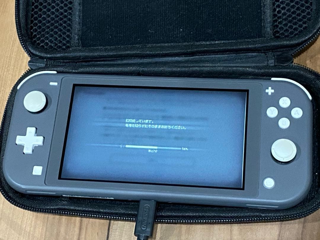 Nintendo Switch Lite グレー 専用ケース付き ジャンク品