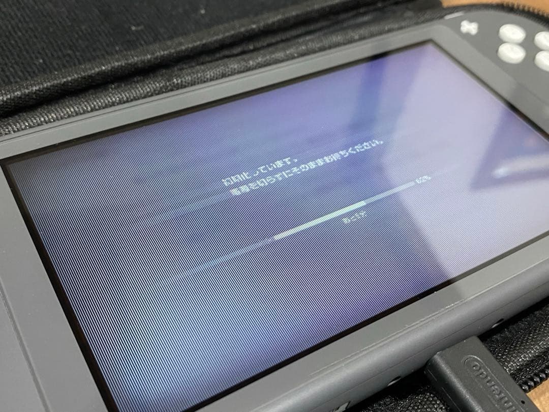 Nintendo Switch Lite グレー 専用ケース付き ジャンク品