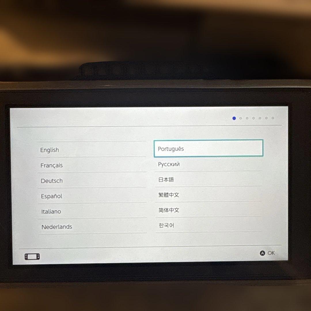 Nintendo Switch Lite グレー　ケース・保護カバー付き