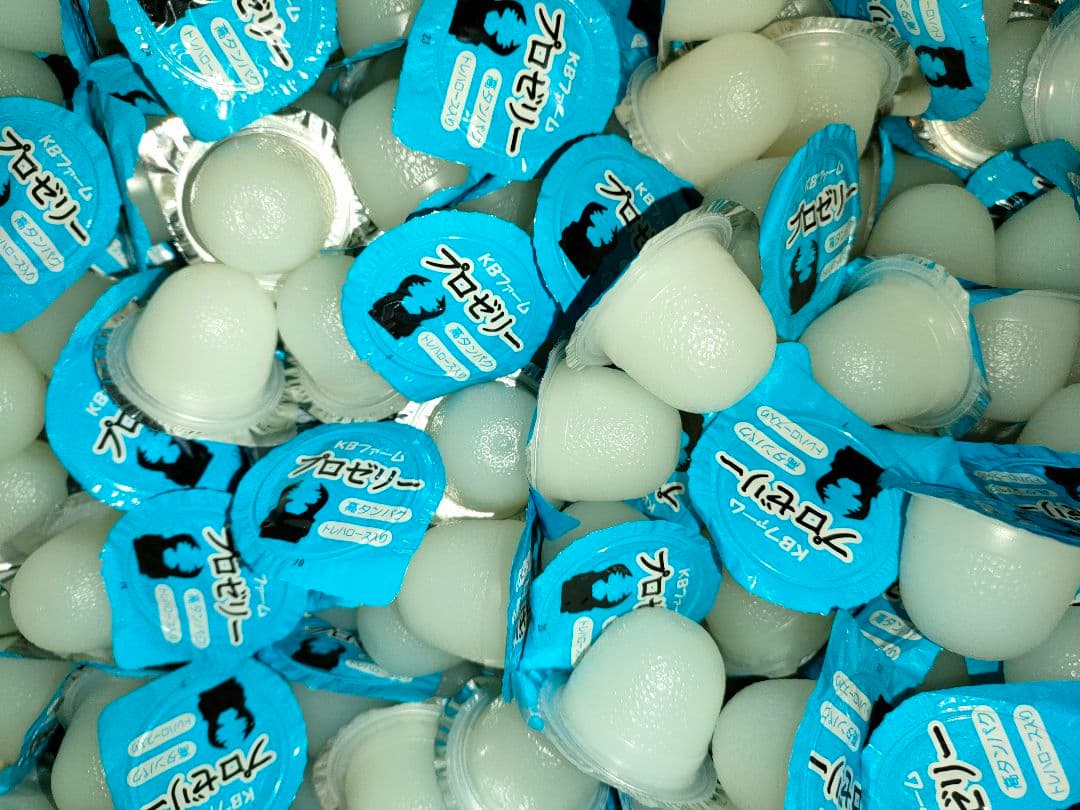 【1000個】 KBファーム プロゼリー 16ｇ 純国産 昆虫ゼリー