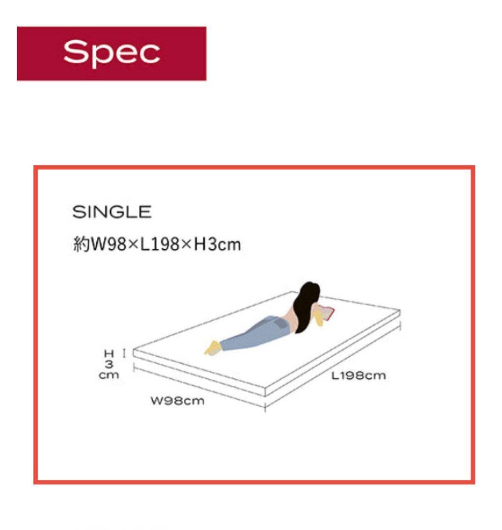 ブレインスリープ オーバーレイ シングル