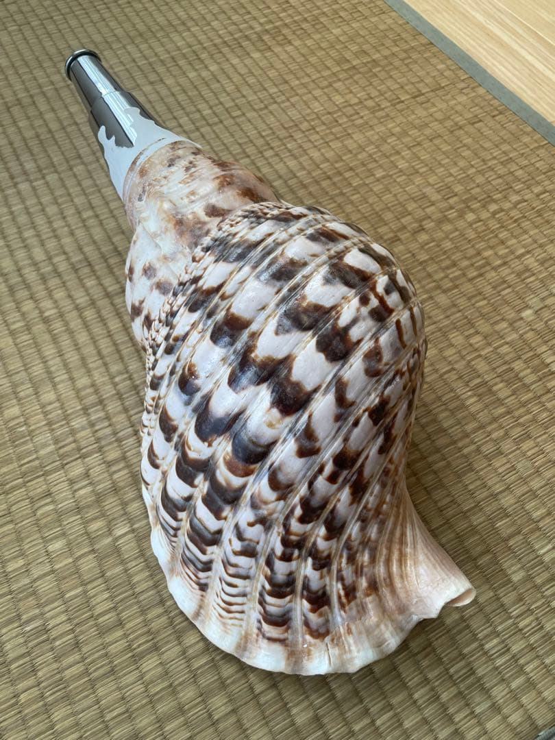 法螺貝　ほら貝　ホラ貝　神社　お寺　密教　お遍路　修験道　山伏　お祭り