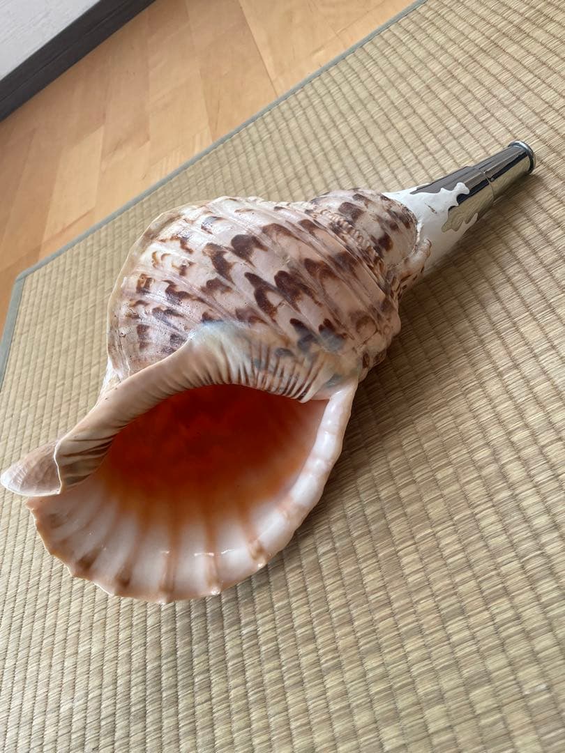 法螺貝　ほら貝　ホラ貝　神社　お寺　密教　お遍路　修験道　山伏　お祭り