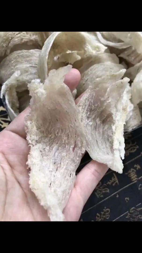 美容、健康にとてもいいツバメの巣 美肌脳神経 妊婦 子供  100g 天然