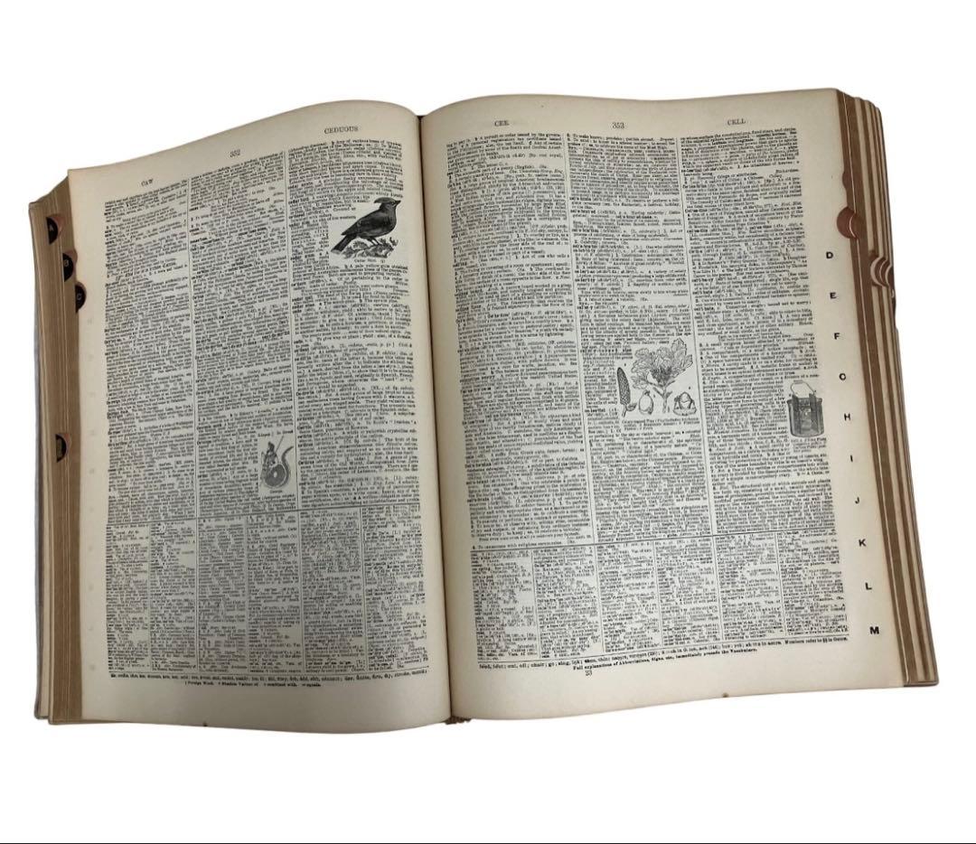 洋書 Webster's New International Dictionary