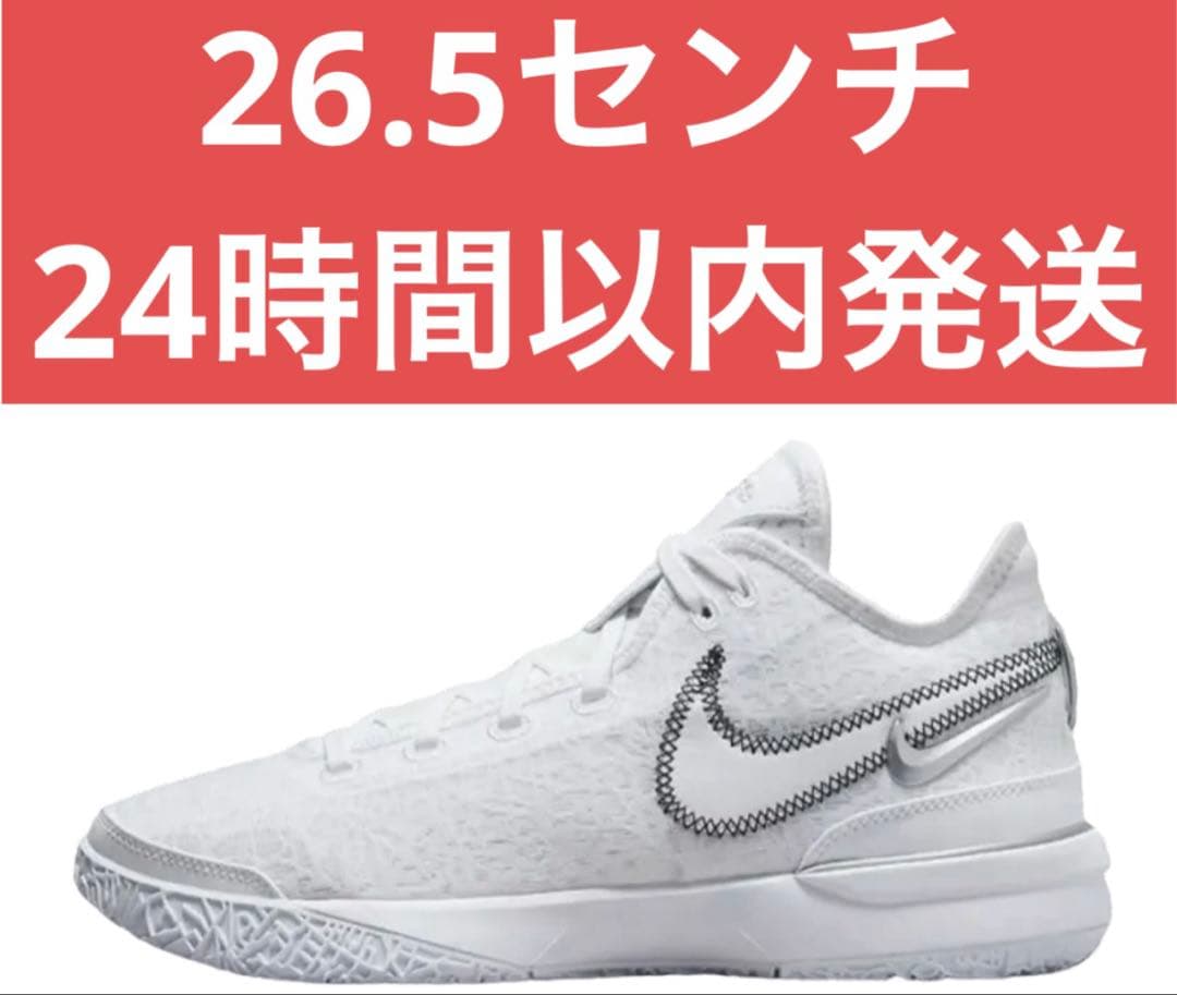 26.5 Nike LeBron NXXT Gen ナイキ dr8788-101