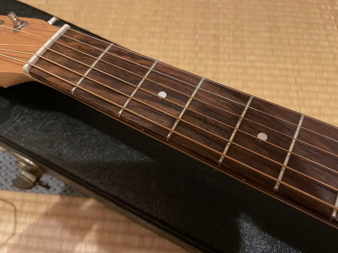 ギター Norman Expedition Nat Folk Solid Spruce