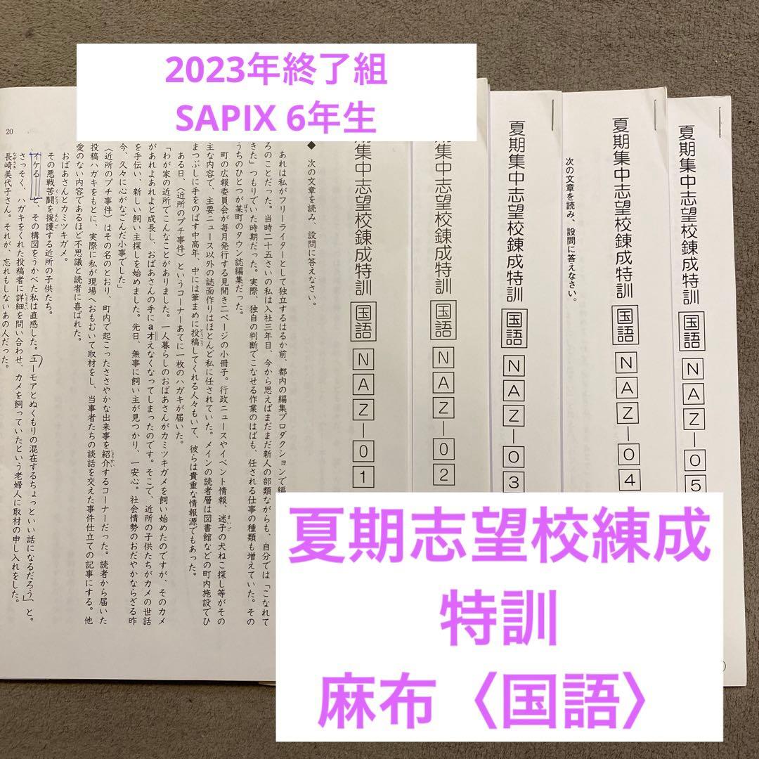 【サピックス　麻布】夏期集中志望校練成特訓　国語