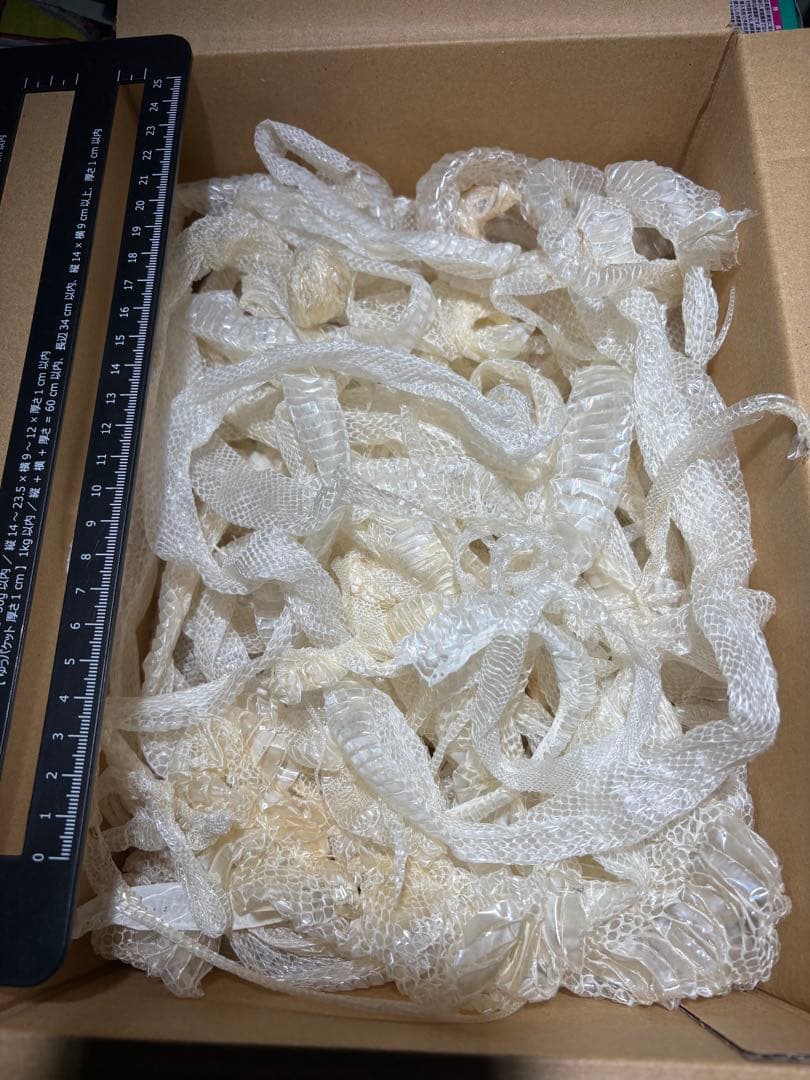 60サイズ一杯分！白ヘビの抜け殻纏め売り