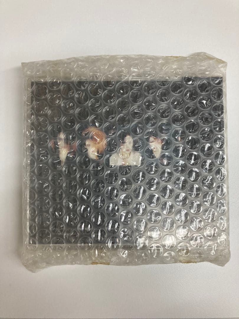 超貴重完全未開封新品　Laputa（ラピュータ）廃盤CD『私が消える』初回盤