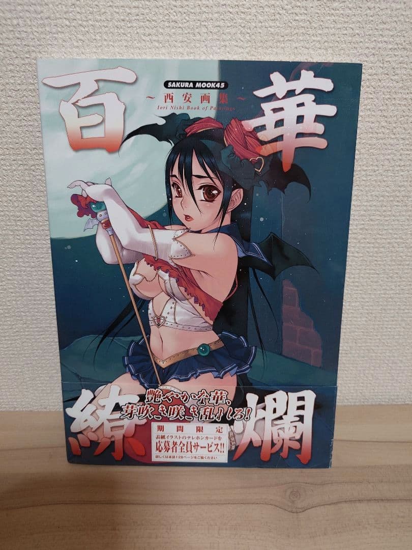 百華繚欄～西安画集～