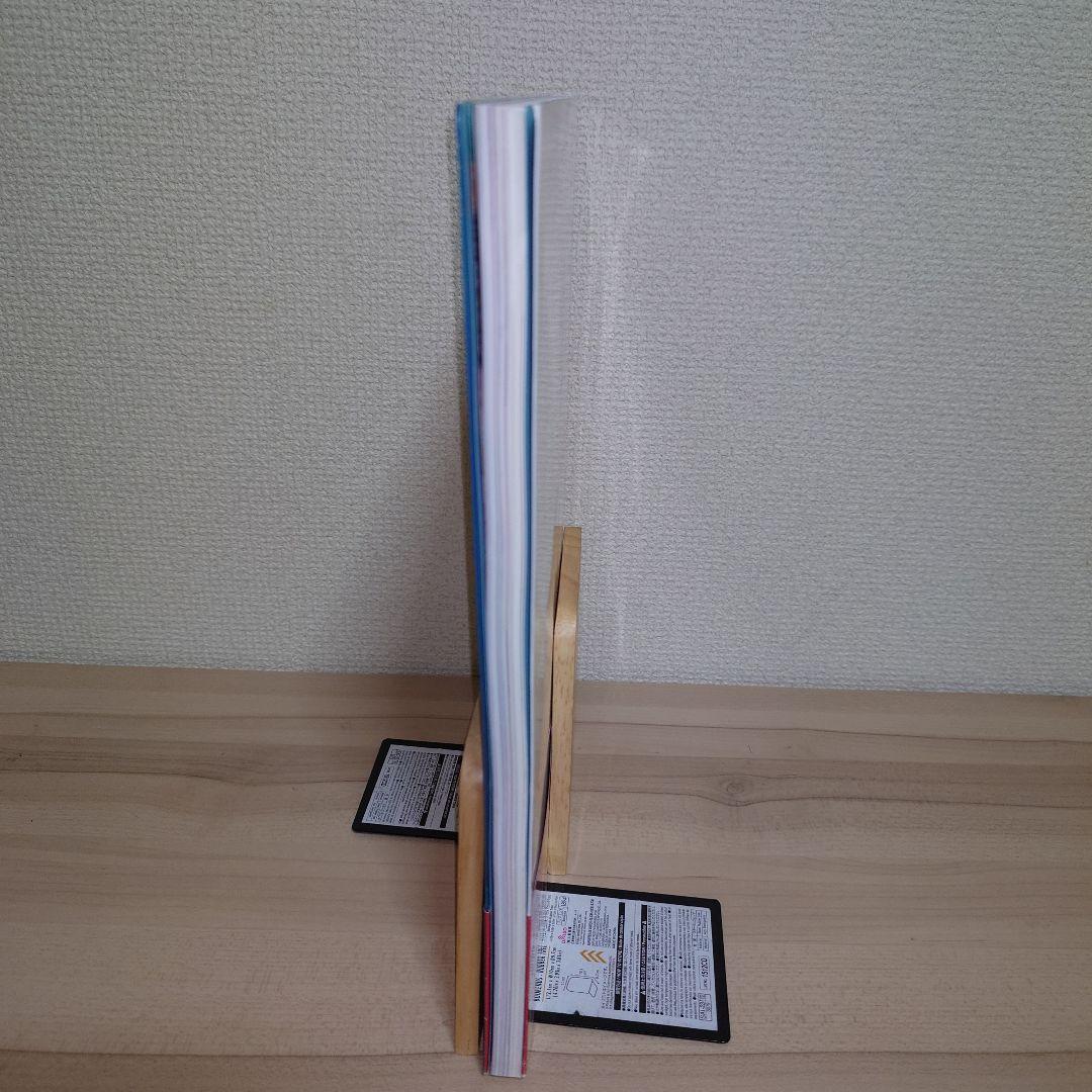 百華繚欄～西安画集～