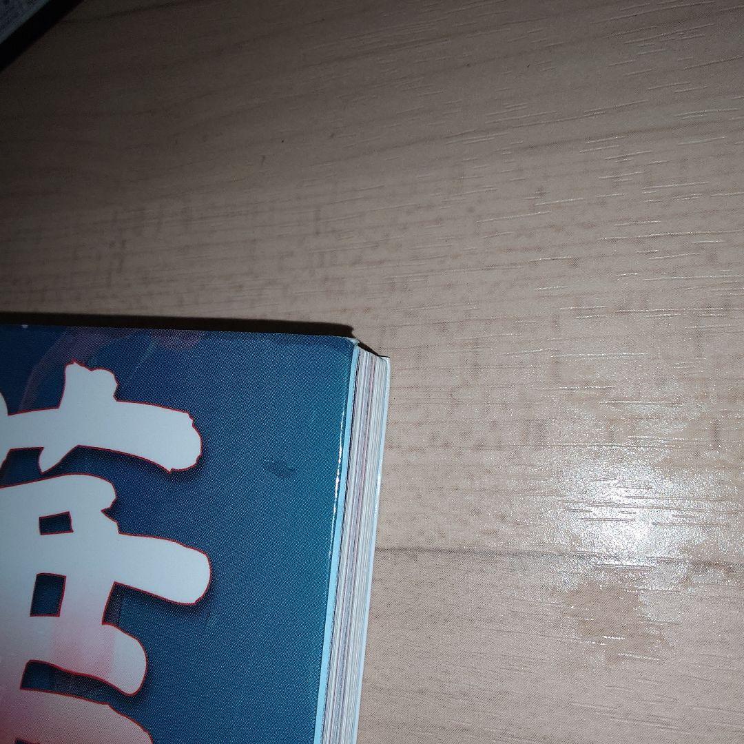 百華繚欄～西安画集～