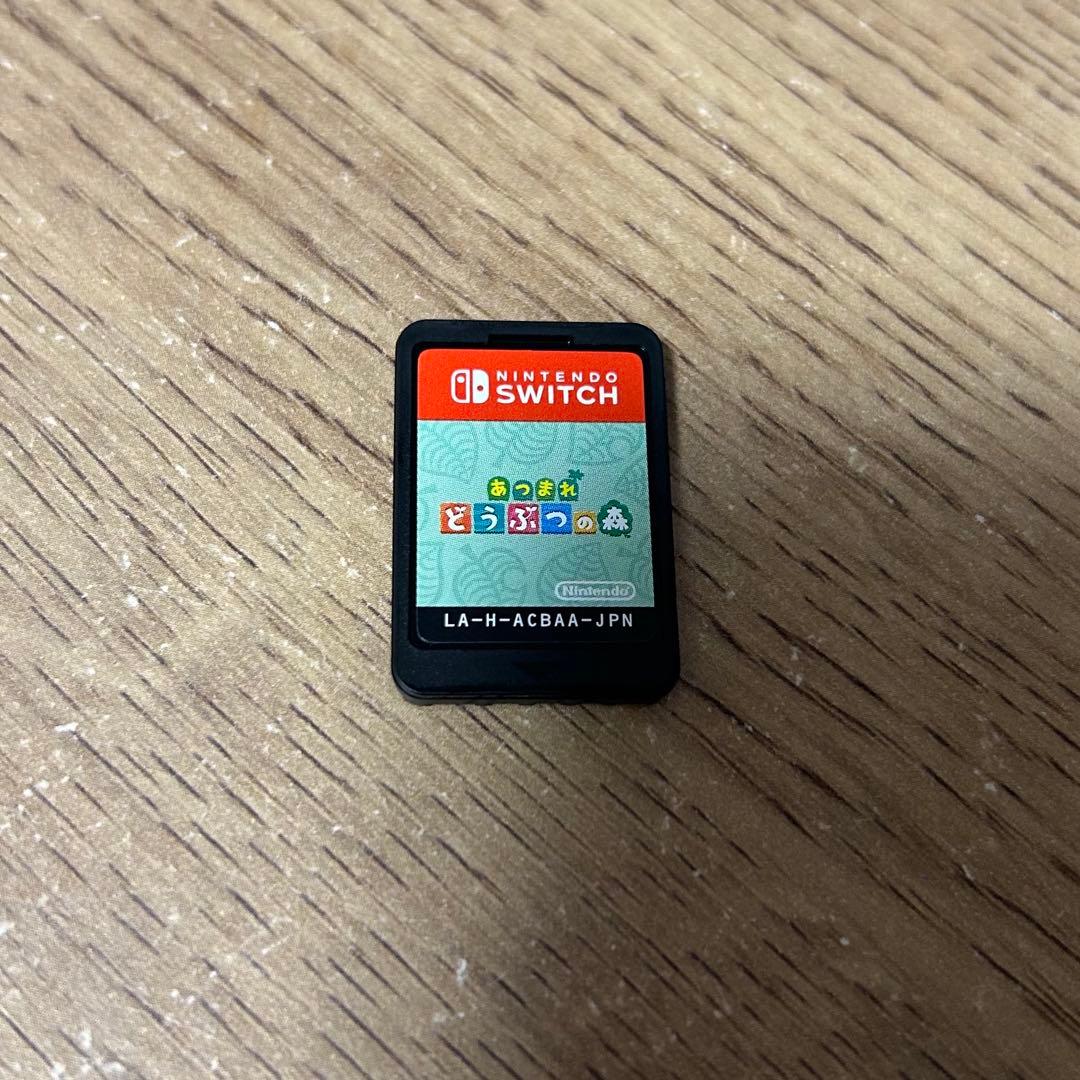 【美品】【ケース＋あつ森付き】Nintendo Switch Lite 本体