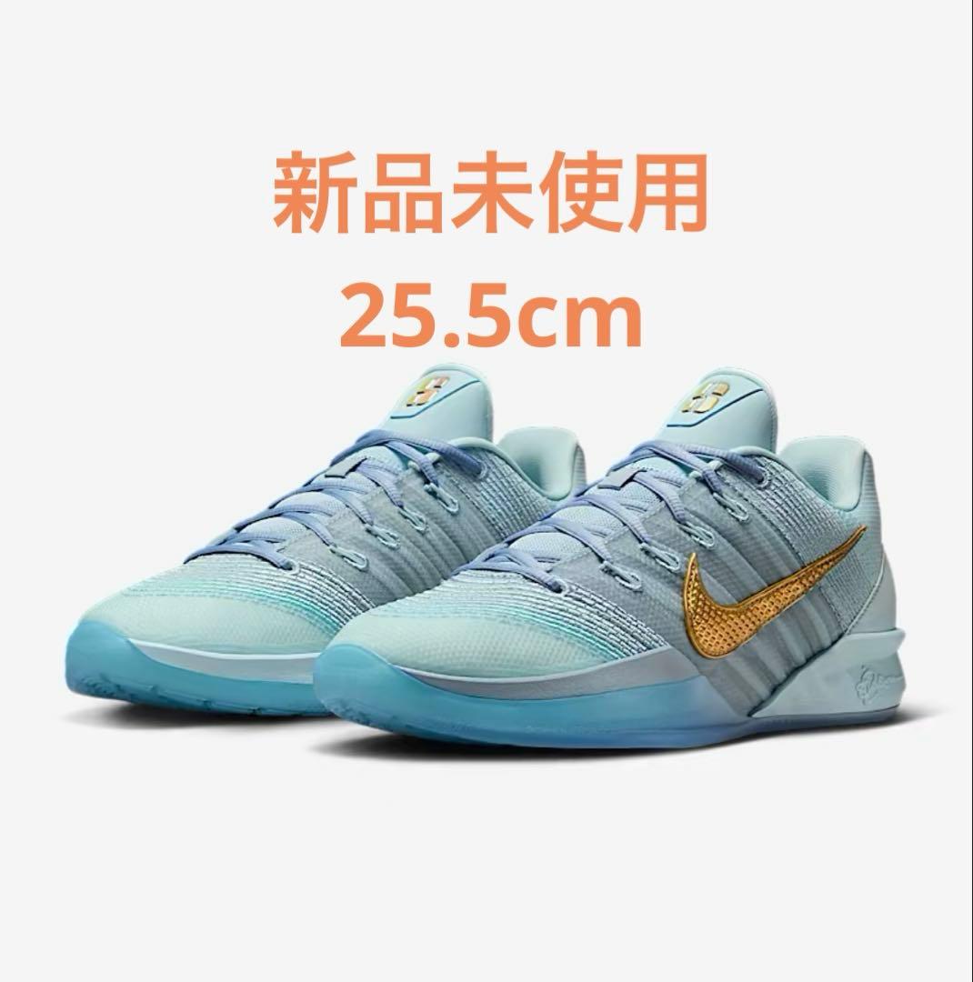 Nike Sabrina 3 25.5センチ サブリナ3