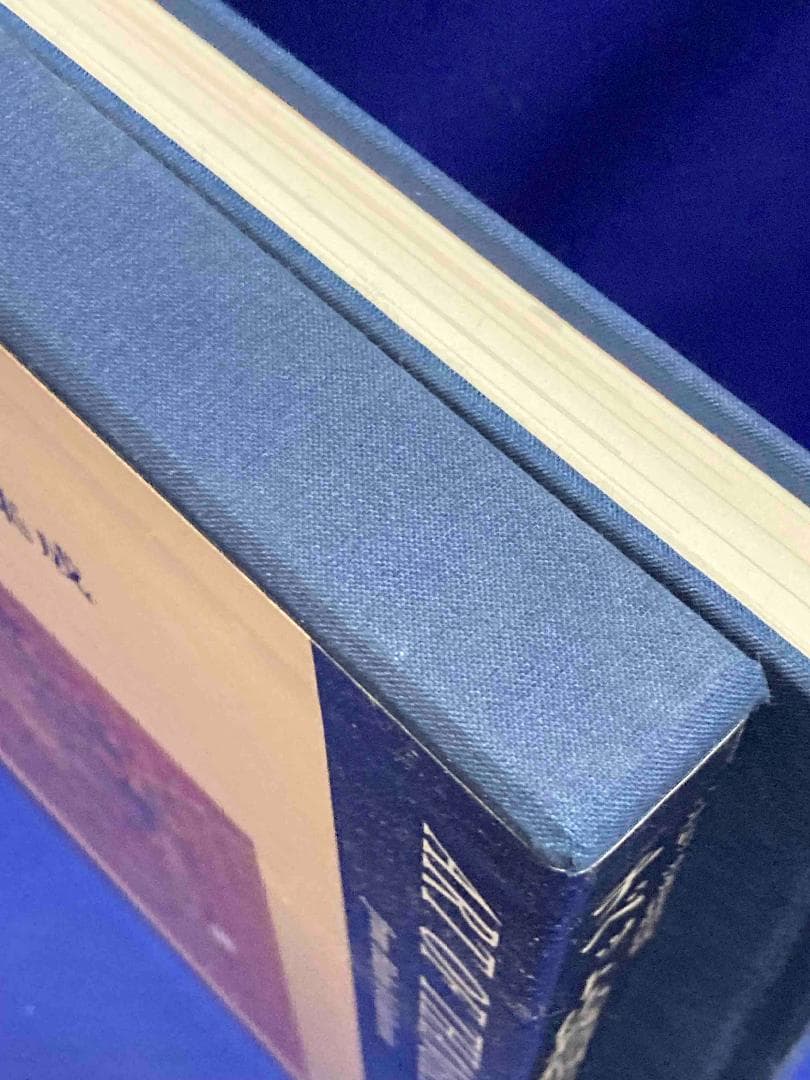 チベット仏教絵画集成 ハンビッツ文化財団蔵 タンカの芸術 第1巻◆田中公明