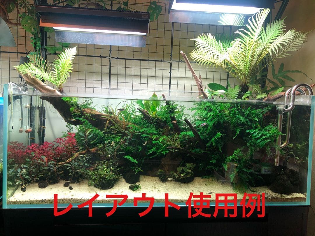 特大流木 水槽用レイアウト用品　現在交渉中