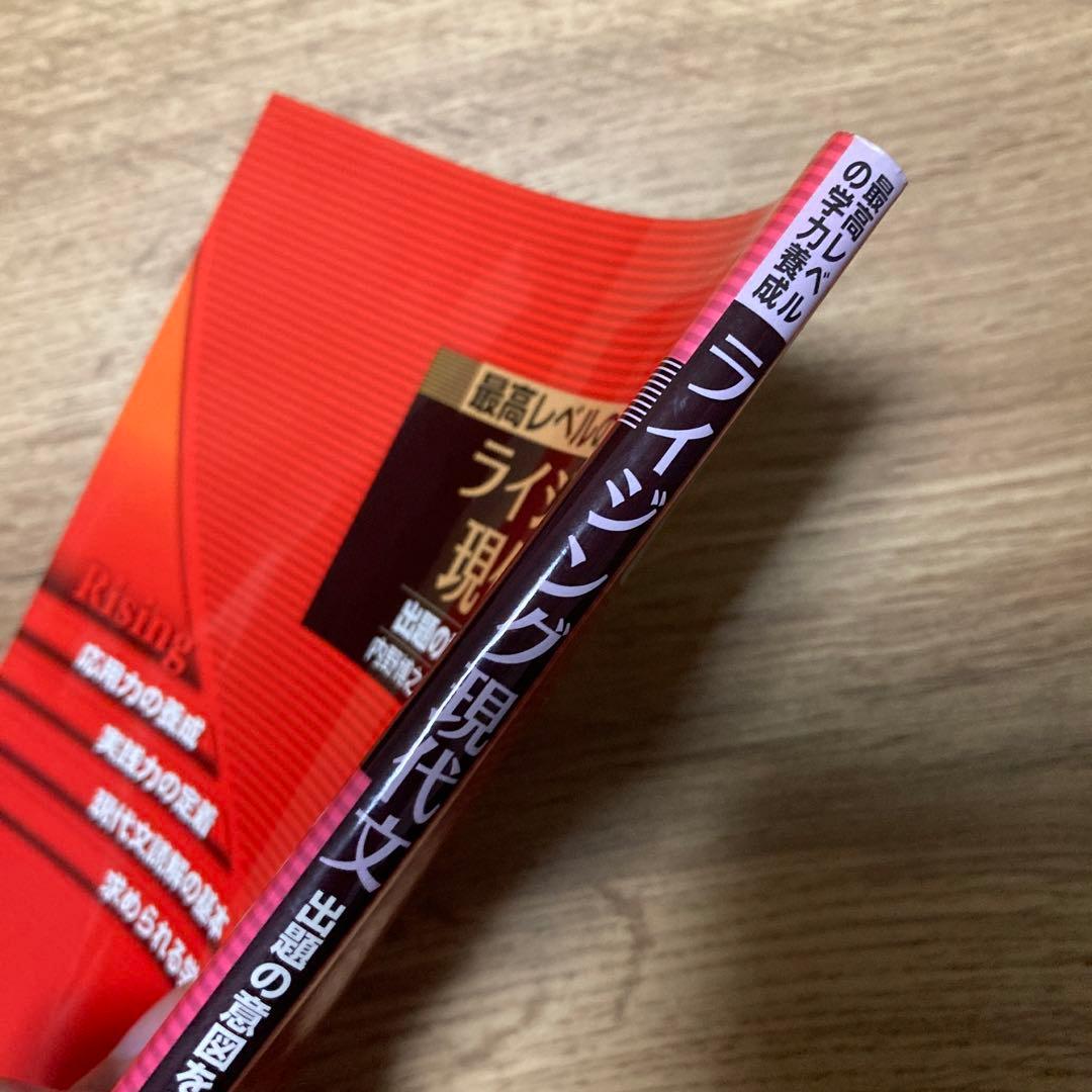 【最終価格】ライジング現代文　内野博之