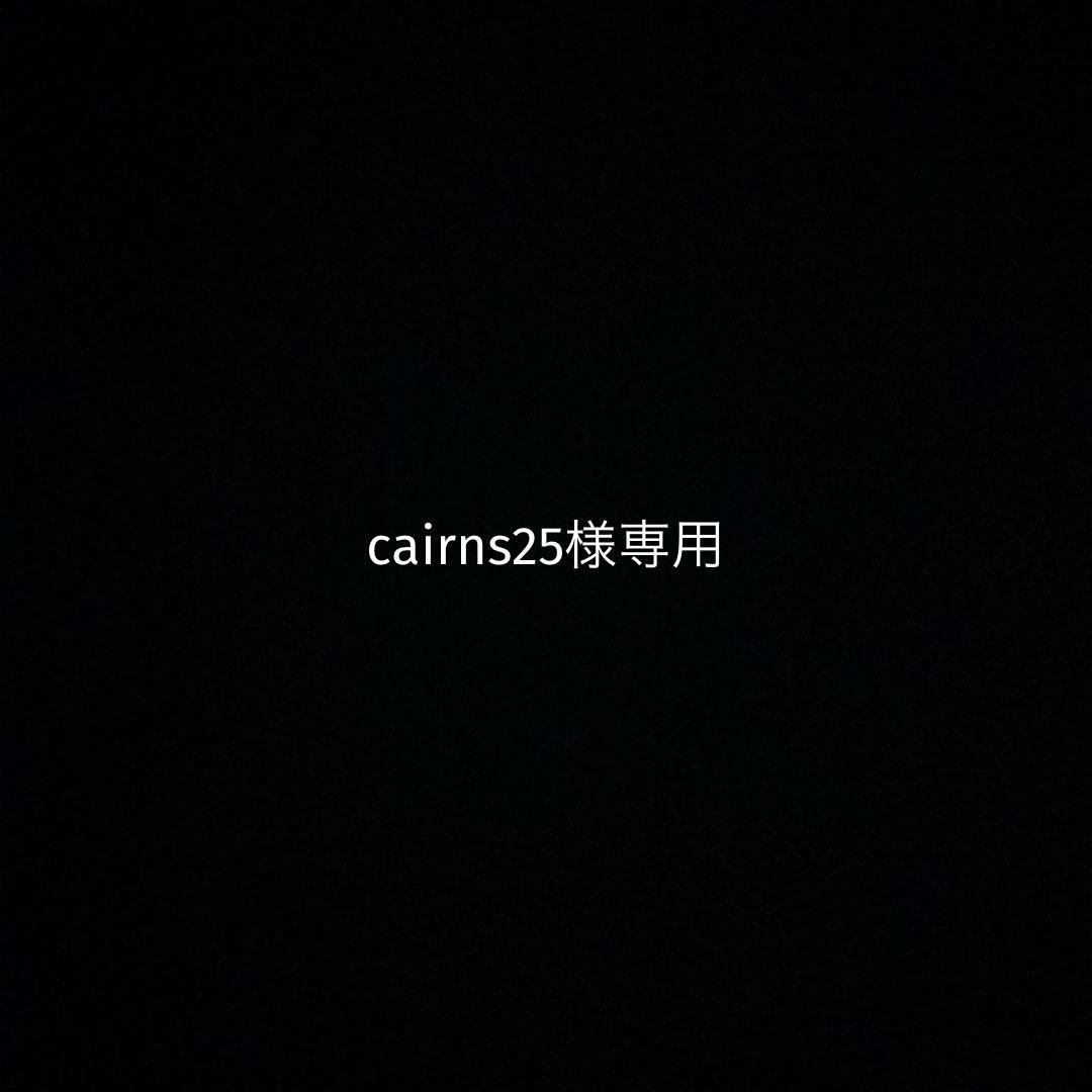 語学・辞書・学習参考書 cairns25