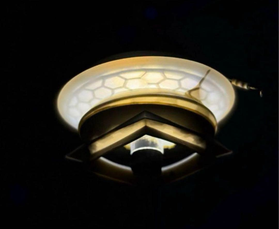 ウォンキーキャンプ　T NOT T.LE valo shade