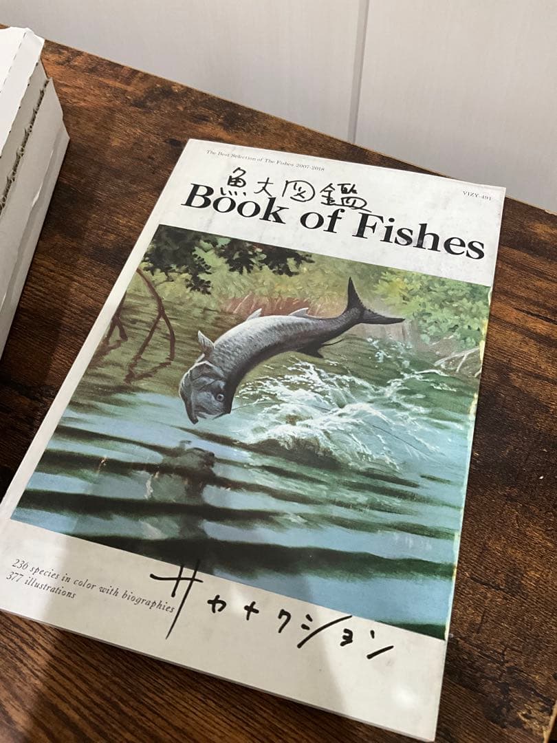 sakanaction どなたか意思を継いでセット①