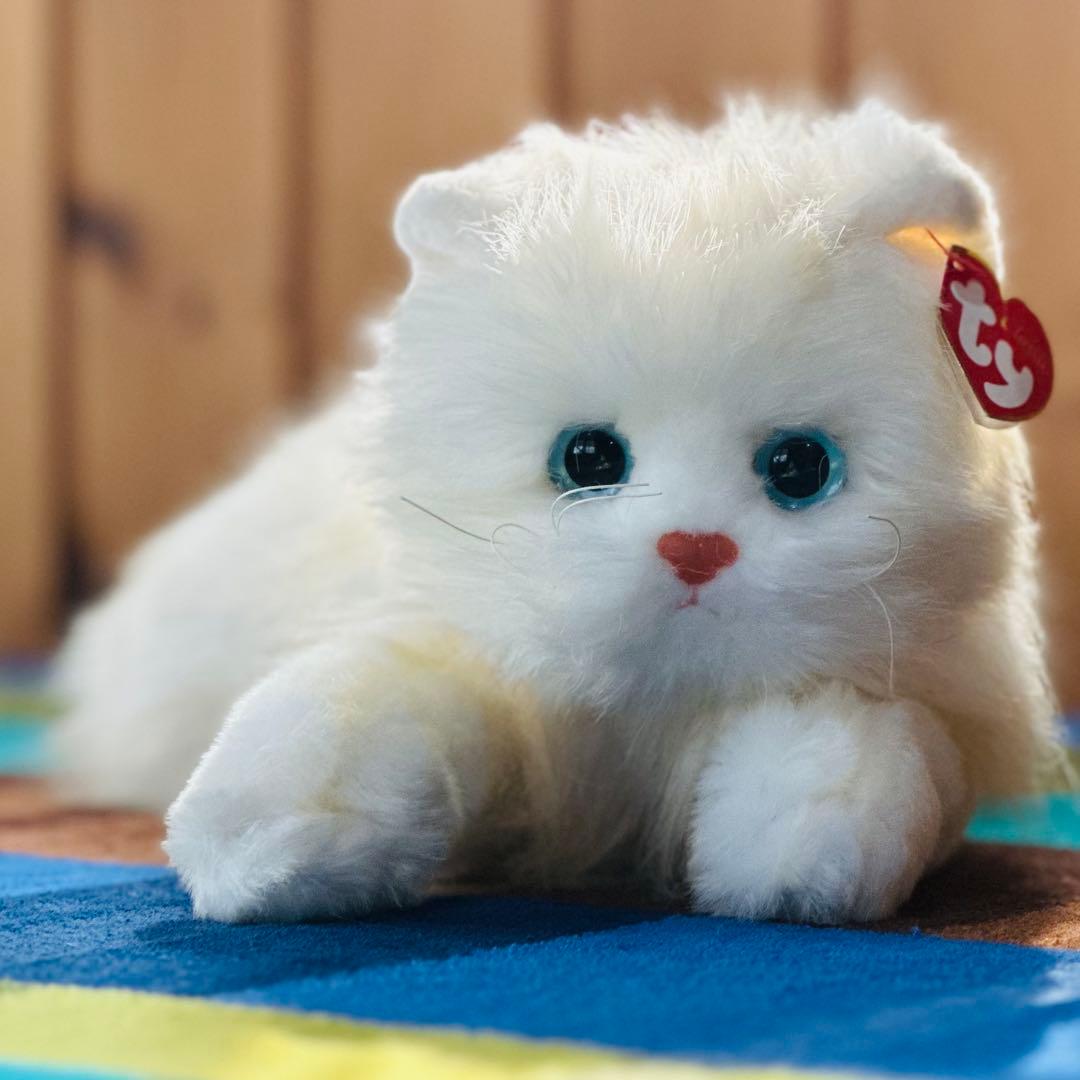 【入手困難】tyビーニーベイビーズ　ペルシャネコぬいぐるみ