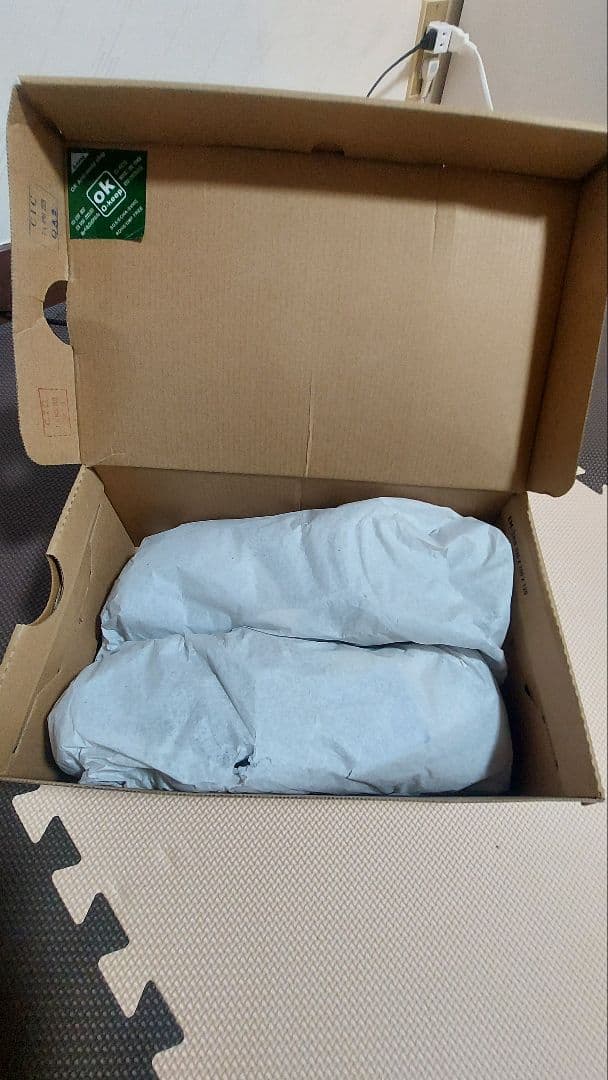 ミズノ　オールマイティ TD II 22L 【新品未使用】