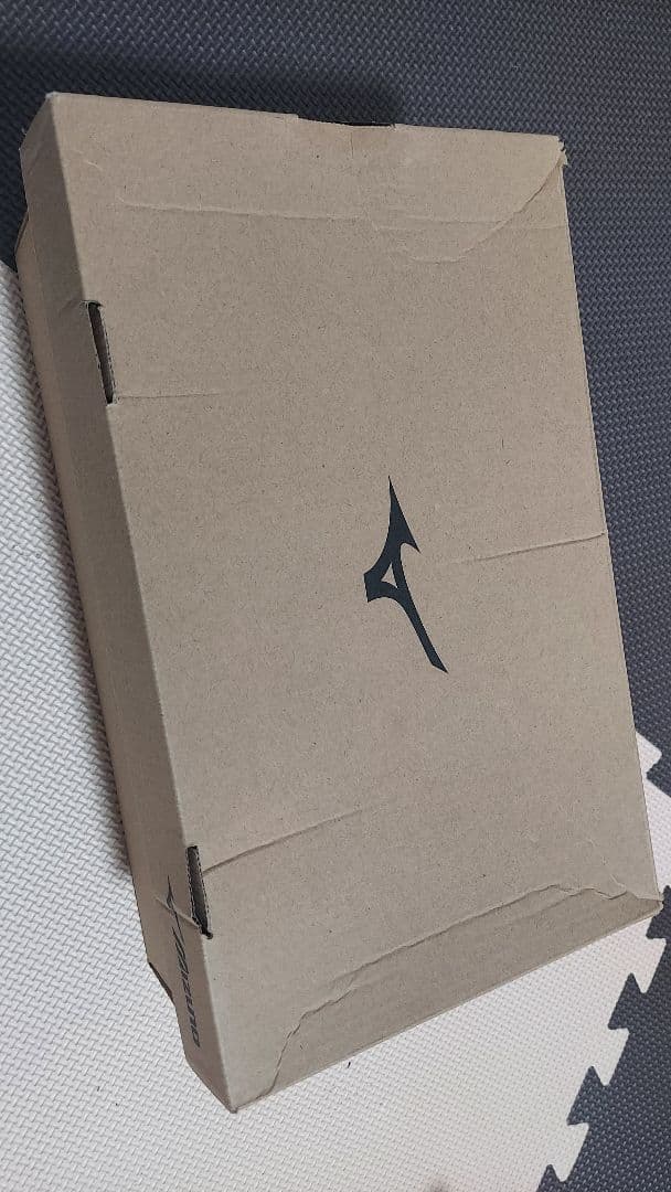 ミズノ　オールマイティ TD II 22L 【新品未使用】