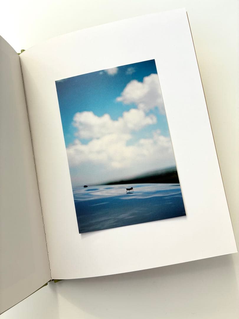 Terri Weifenbach写真集「Some Insects」花　空　虫　庭