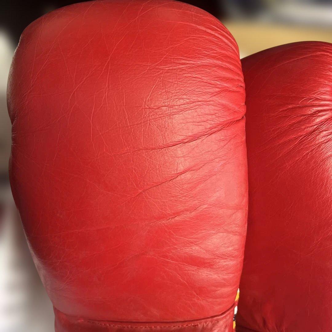WINDY ボクシンググローブ 16oz レッド