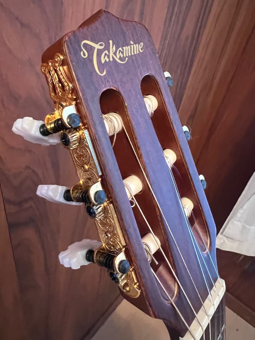 TAKAMINE NPT-110 エレガット