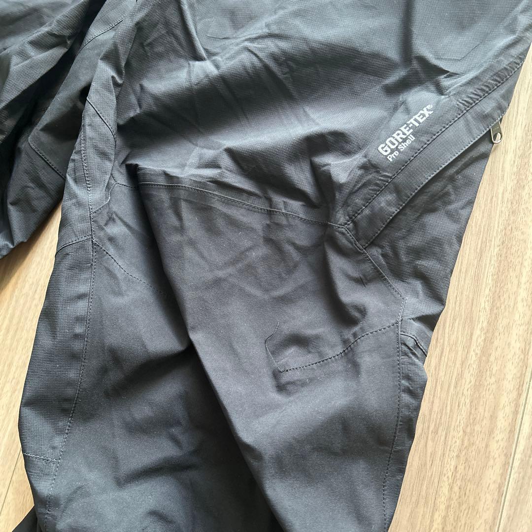 ノースフェイス　ゴアテックスプロ　ビブパンツ　L スキー スノーボード