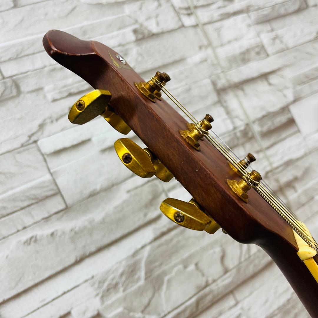 Ovation Celebrity Deluxe CC257 ?? 1996年製