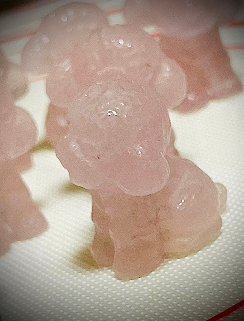 ジャスミンさん専用♡プードル