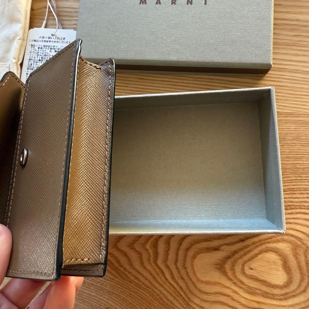 3月末までの出品！美品！公式販売終了カラー　マルニ　カードケース　名刺入れ
