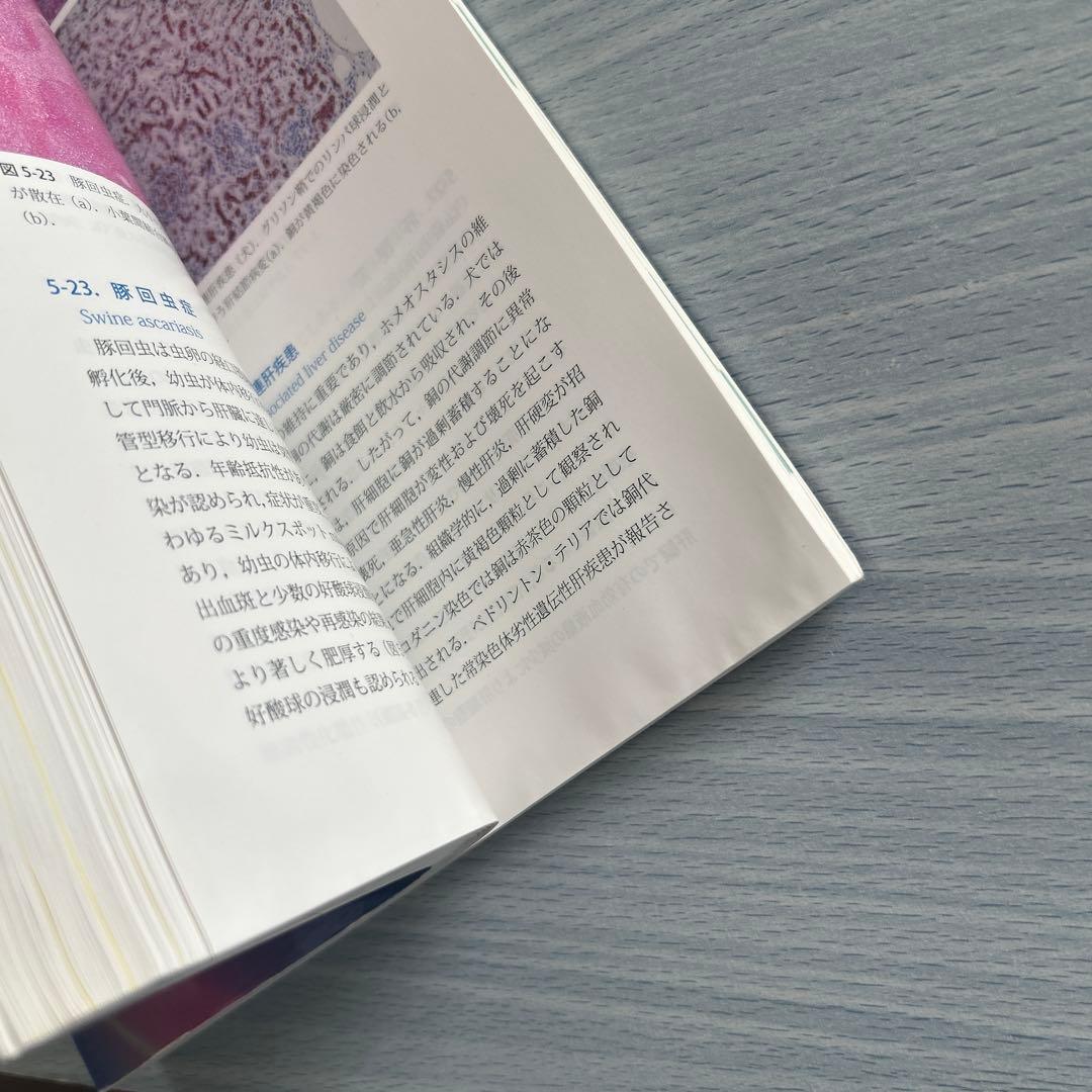 動物病理カラーアトラス 第2版