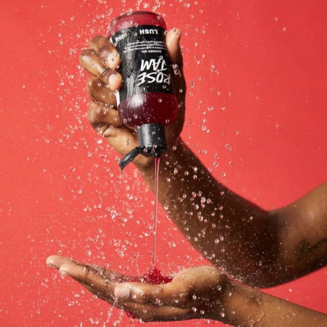 限定‼️ LUSH クリスマス バスボム 10点セット ギフトセット 数量限定