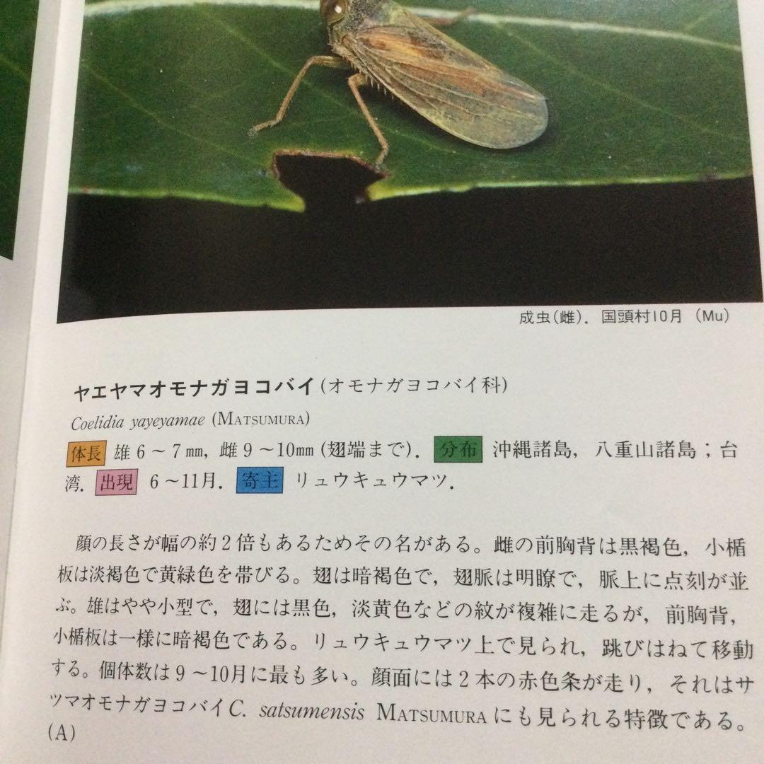 沖縄昆虫野外観察図鑑　増補版 全７巻　東 清二 編著