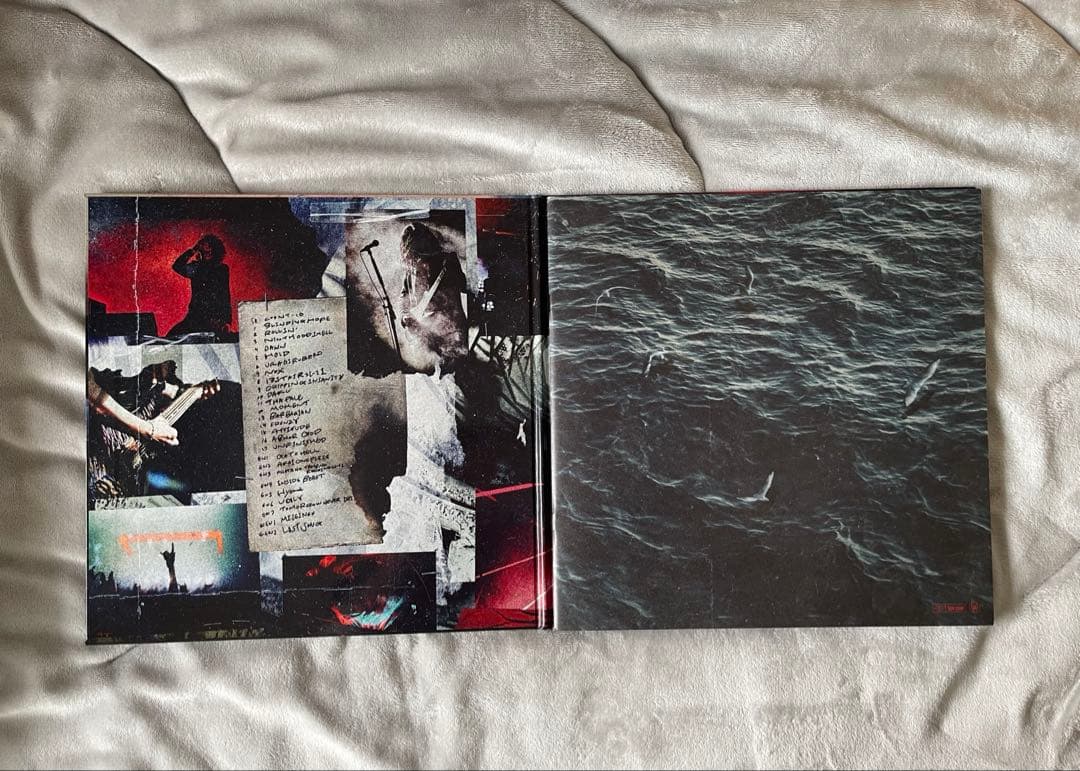 the GazettE MASS \"THE FINAL\" DVD 初回生産限定盤