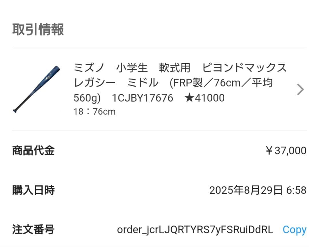 ミズノ BEYOND MAX LEGACY バット 76cm 専用ケース付き