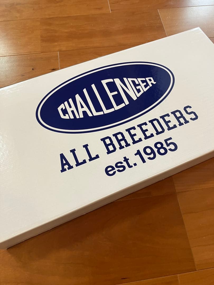 小物 CHALLENGER/LIGHTNING SIGNBOARD LED