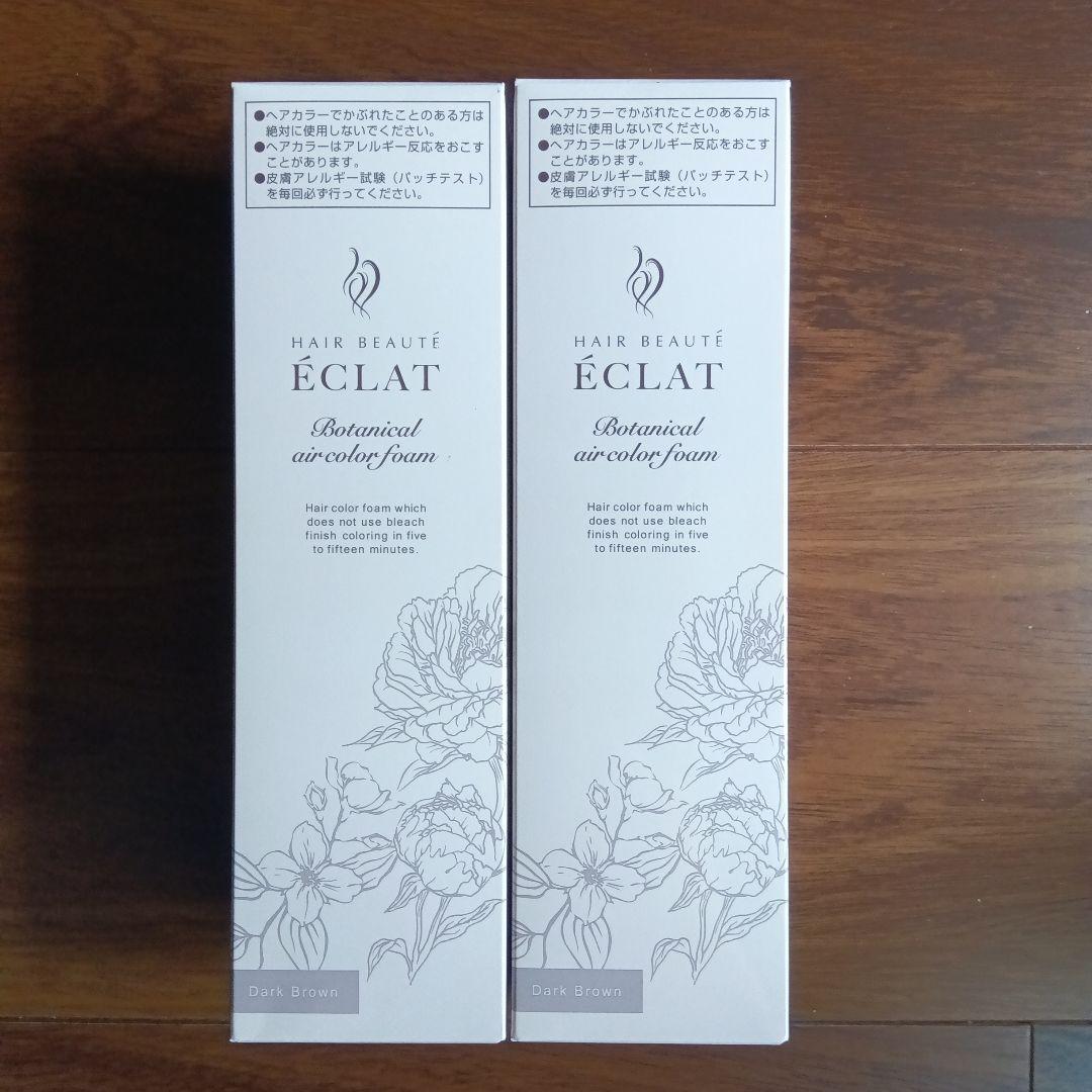 ÉCLAT ボタニカルエアカラーフォーム 59・15