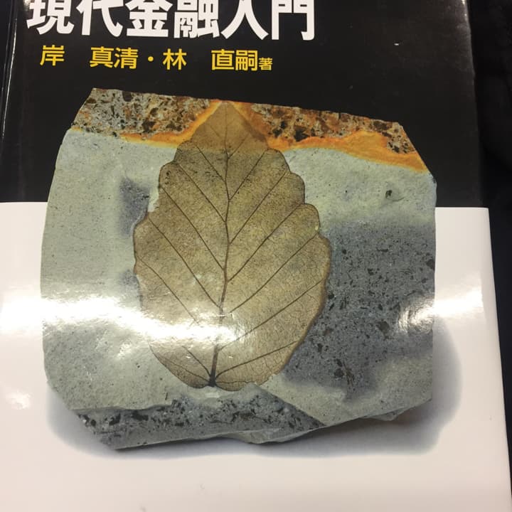 現代金融入門/岸 真清, 林 直嗣